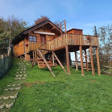 Villa Gnezdo Vid-ik Catez ob Savi Exterior foto