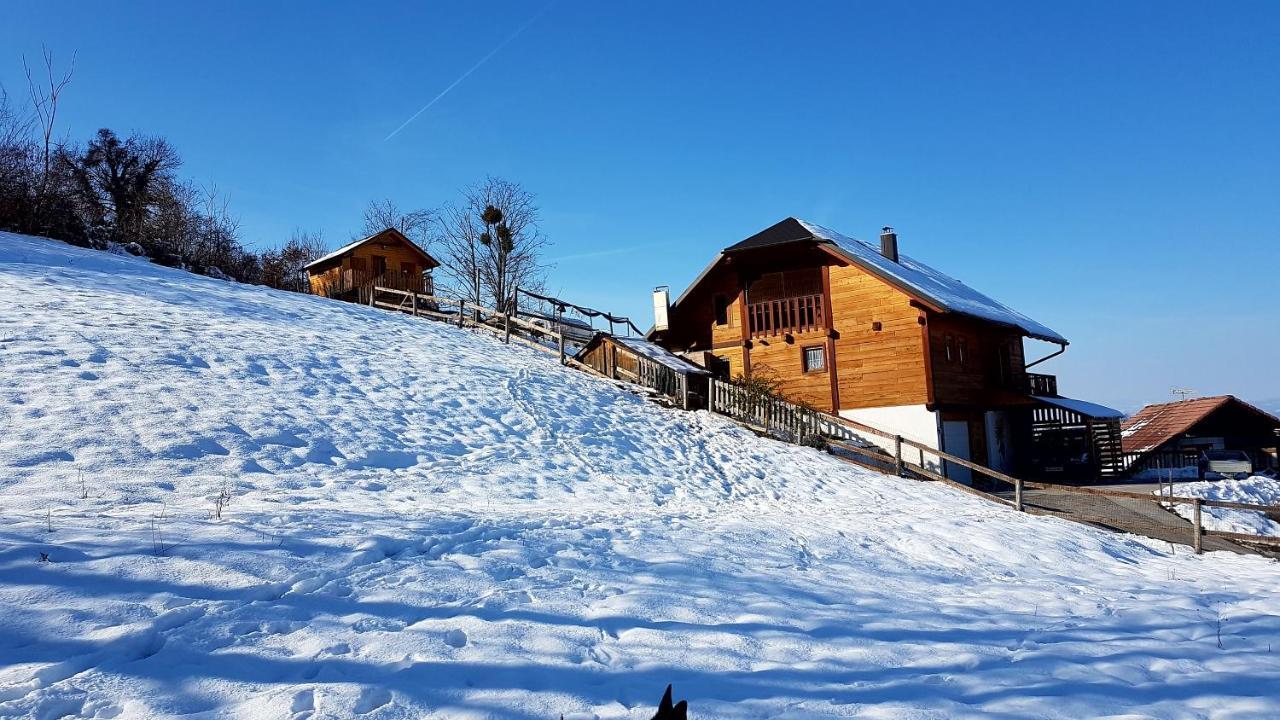 Villa Gnezdo Vid-ik Catez ob Savi Exterior foto