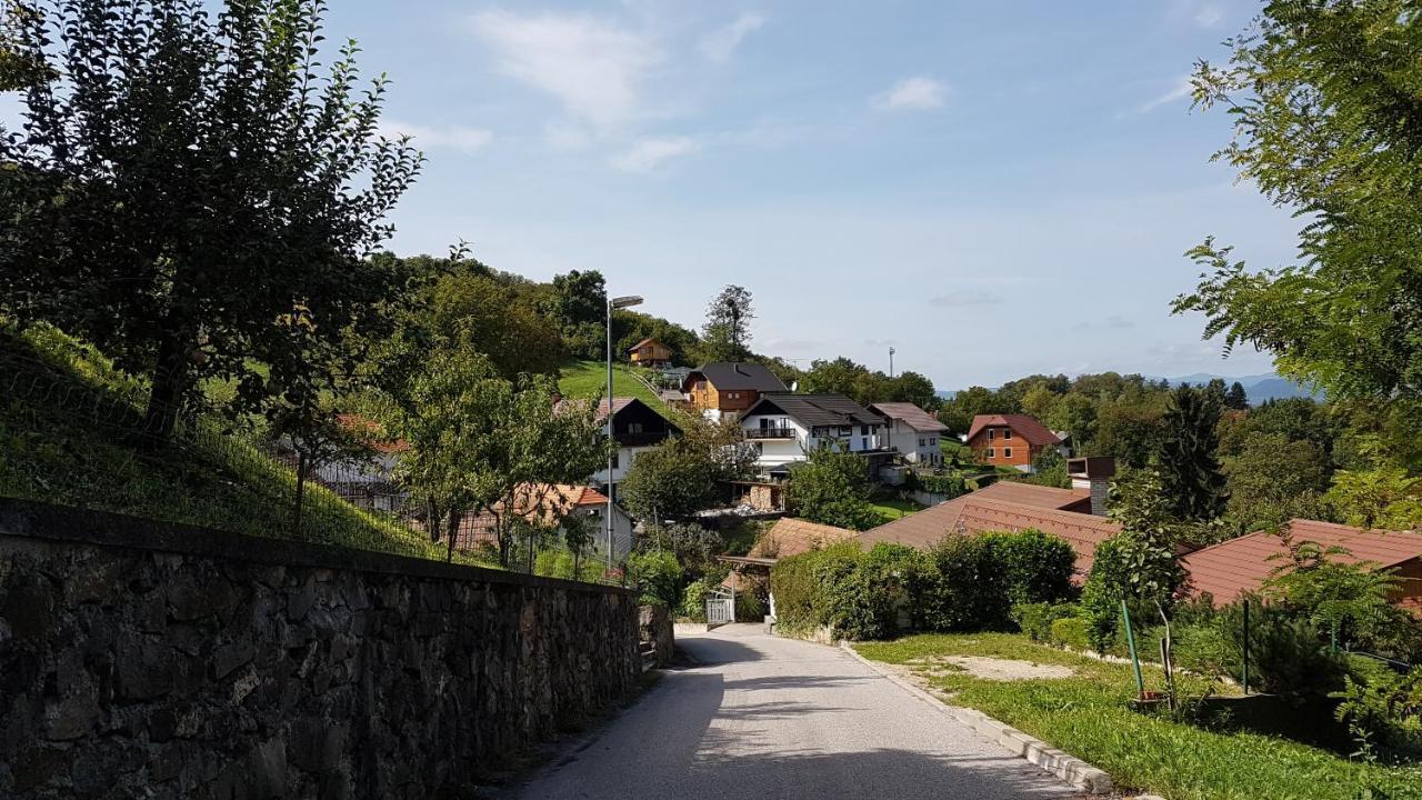 Villa Gnezdo Vid-ik Catez ob Savi Exterior foto