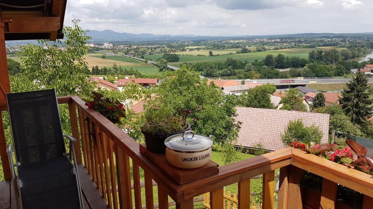 Villa Gnezdo Vid-ik Catez ob Savi Exterior foto